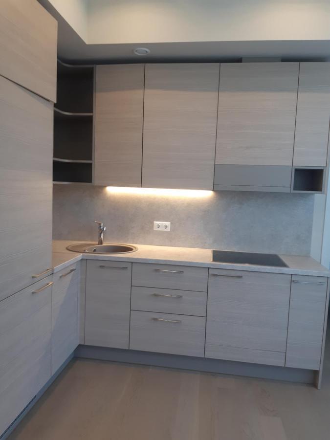 Apartment In Druskininkai City Centre Kültér fotó