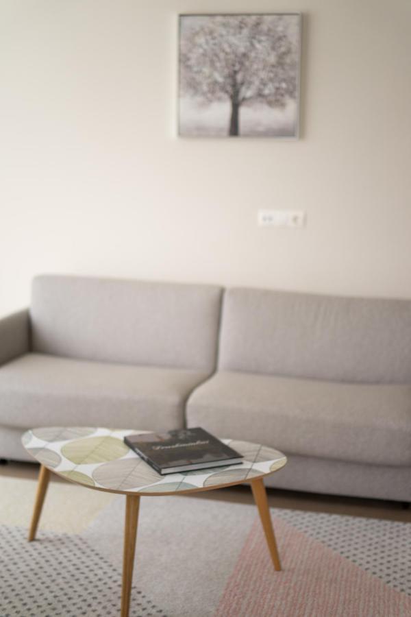 Apartment In Druskininkai City Centre Kültér fotó