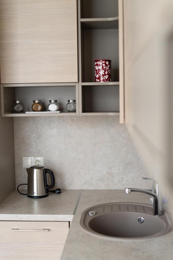 Apartment In Druskininkai City Centre Kültér fotó